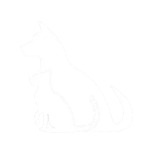 Animaux